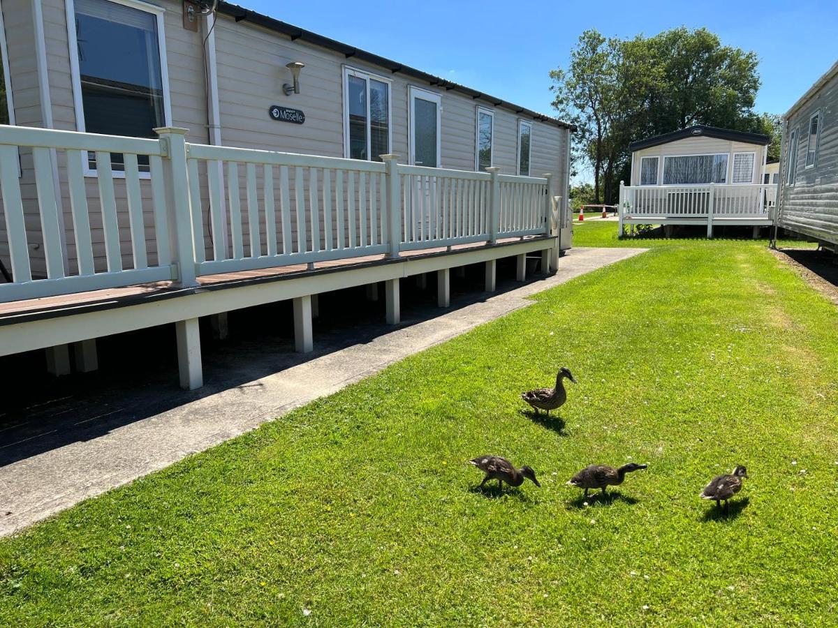 Dragonfly Lodge South Cerney Eksteriør billede